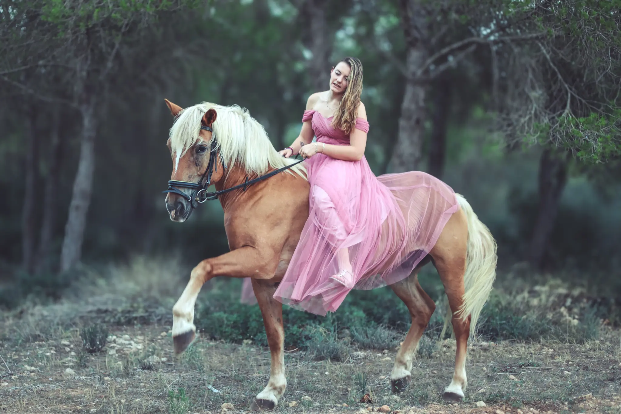 märchenhaftes Fotoshooting mit Pferd auf Mallorca