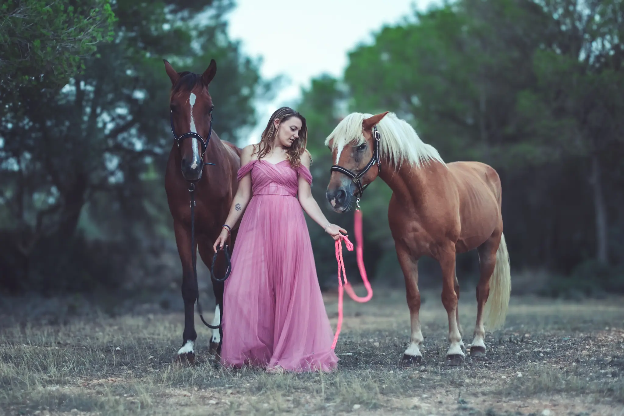 Pferdeshooting mit Reiterin auf Mallorca in einem rosa Kleid